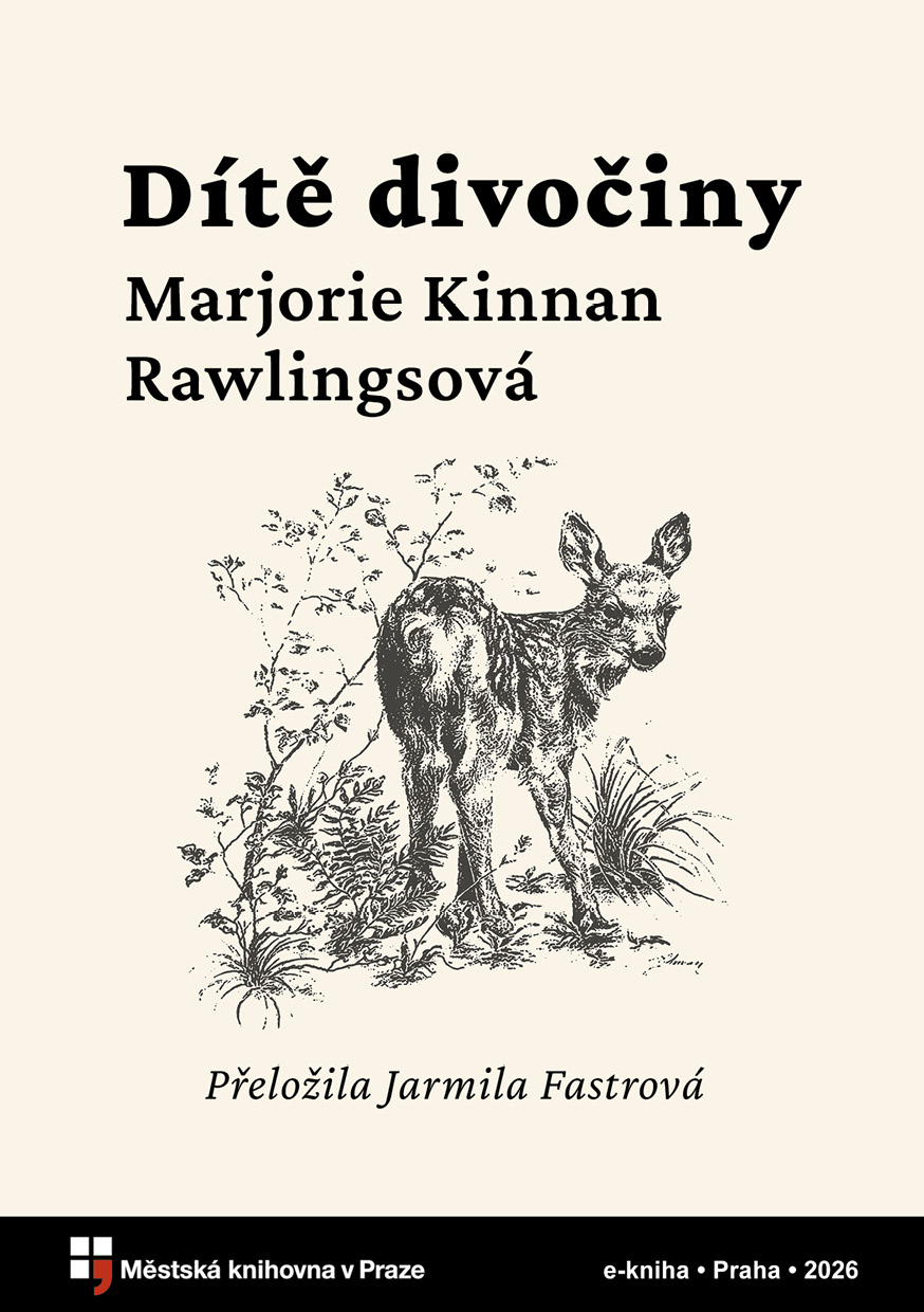 Dítě divočiny