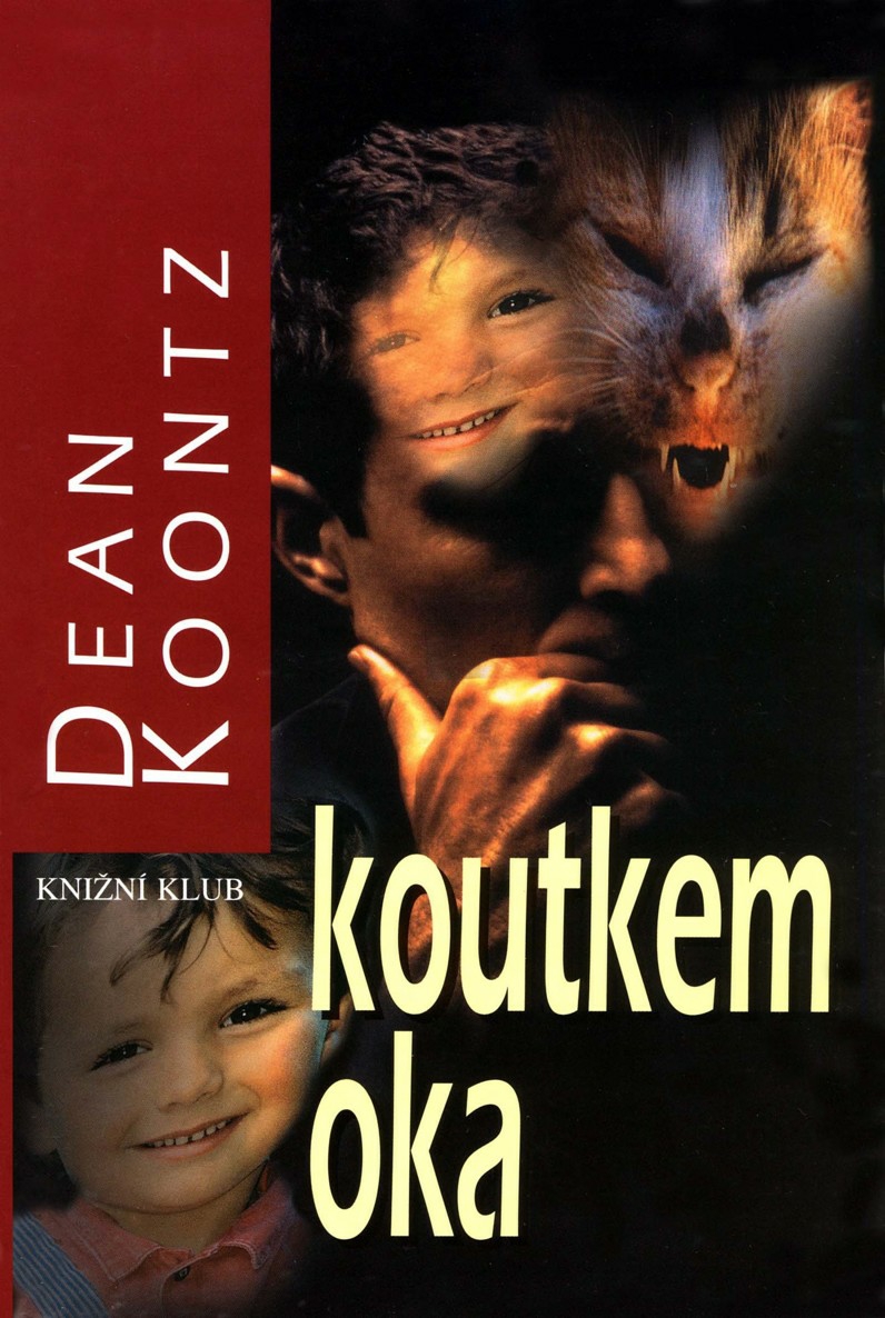 Koutkem oka