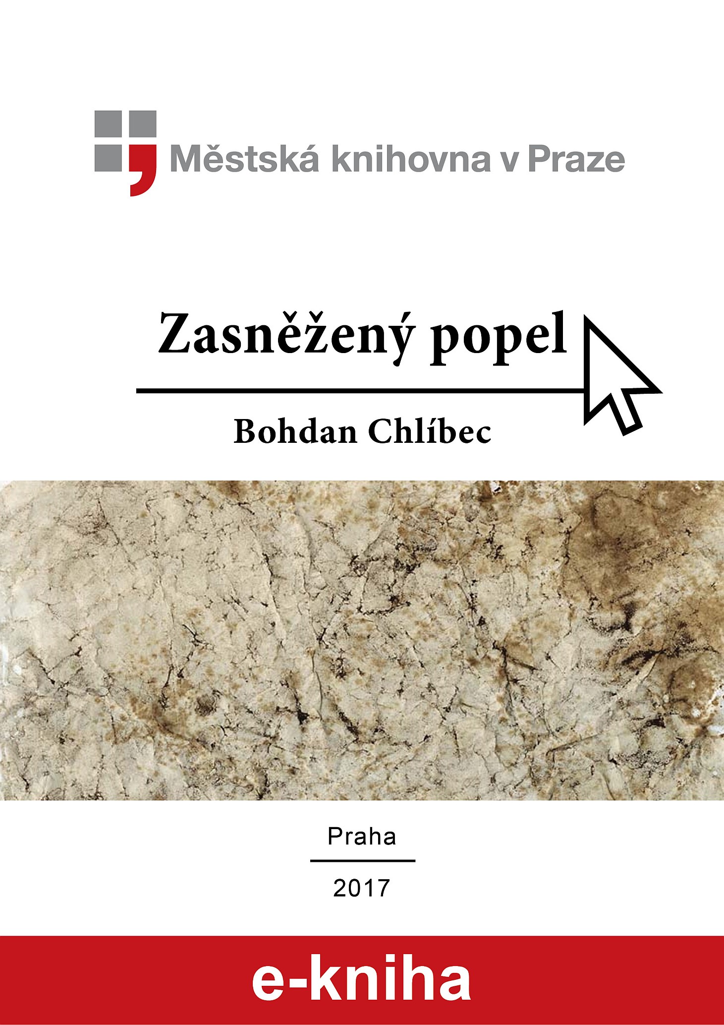 Zasněžený popel