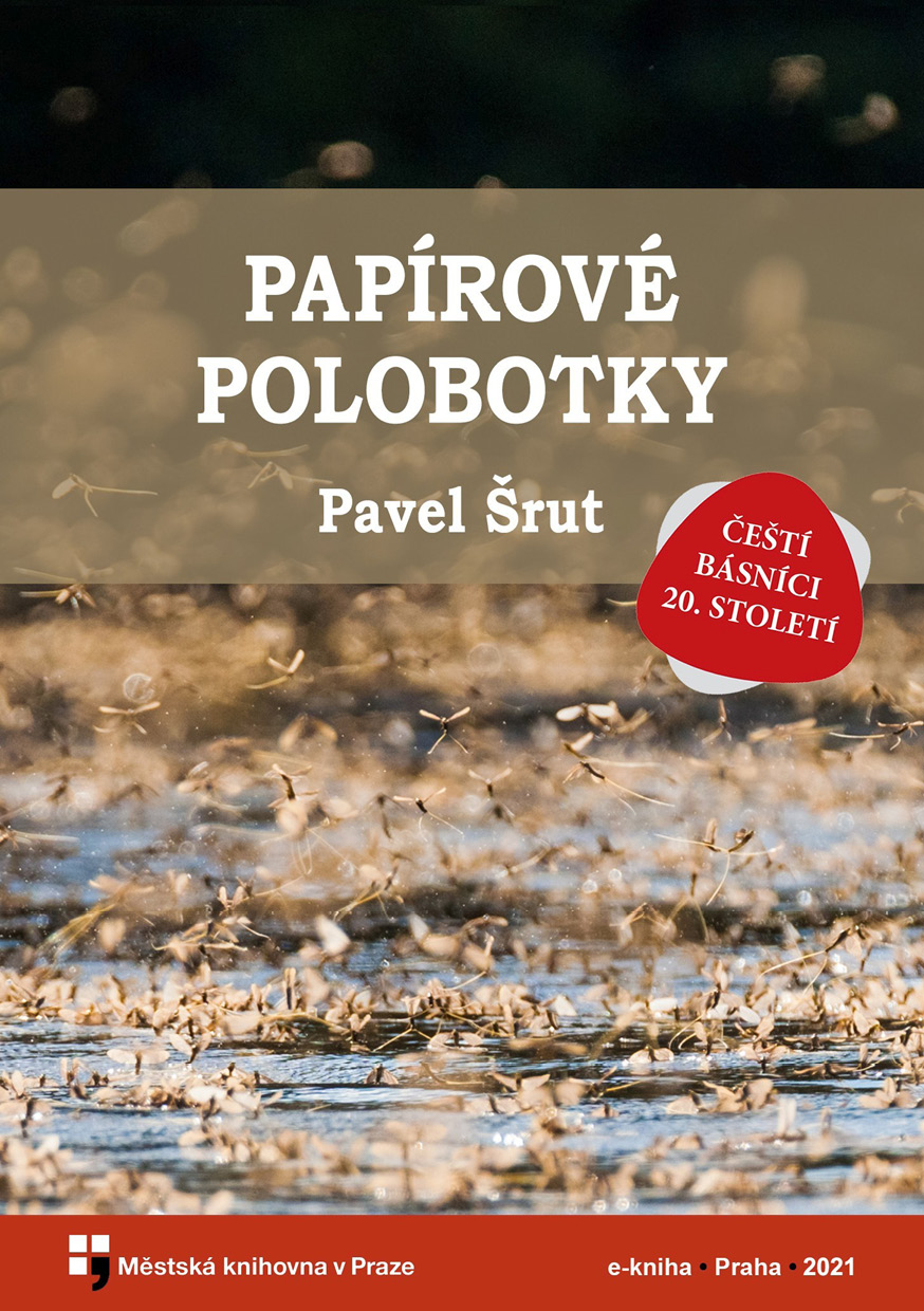 Papírové polobotky